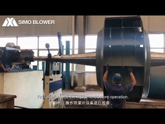 গতিশীল ভারসাম্য প্রক্রিয়া