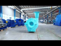 ৯-১২-৬.১ ডি